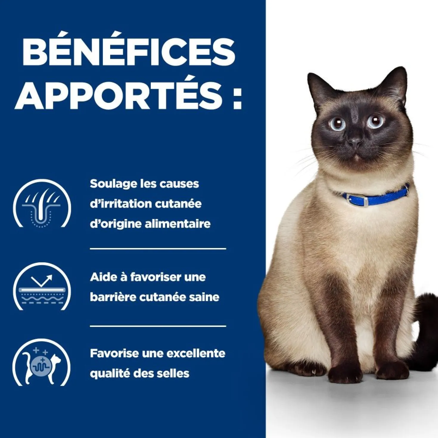 Hill's Prescription Diet z/d Food Sensitivities - croquettes chat