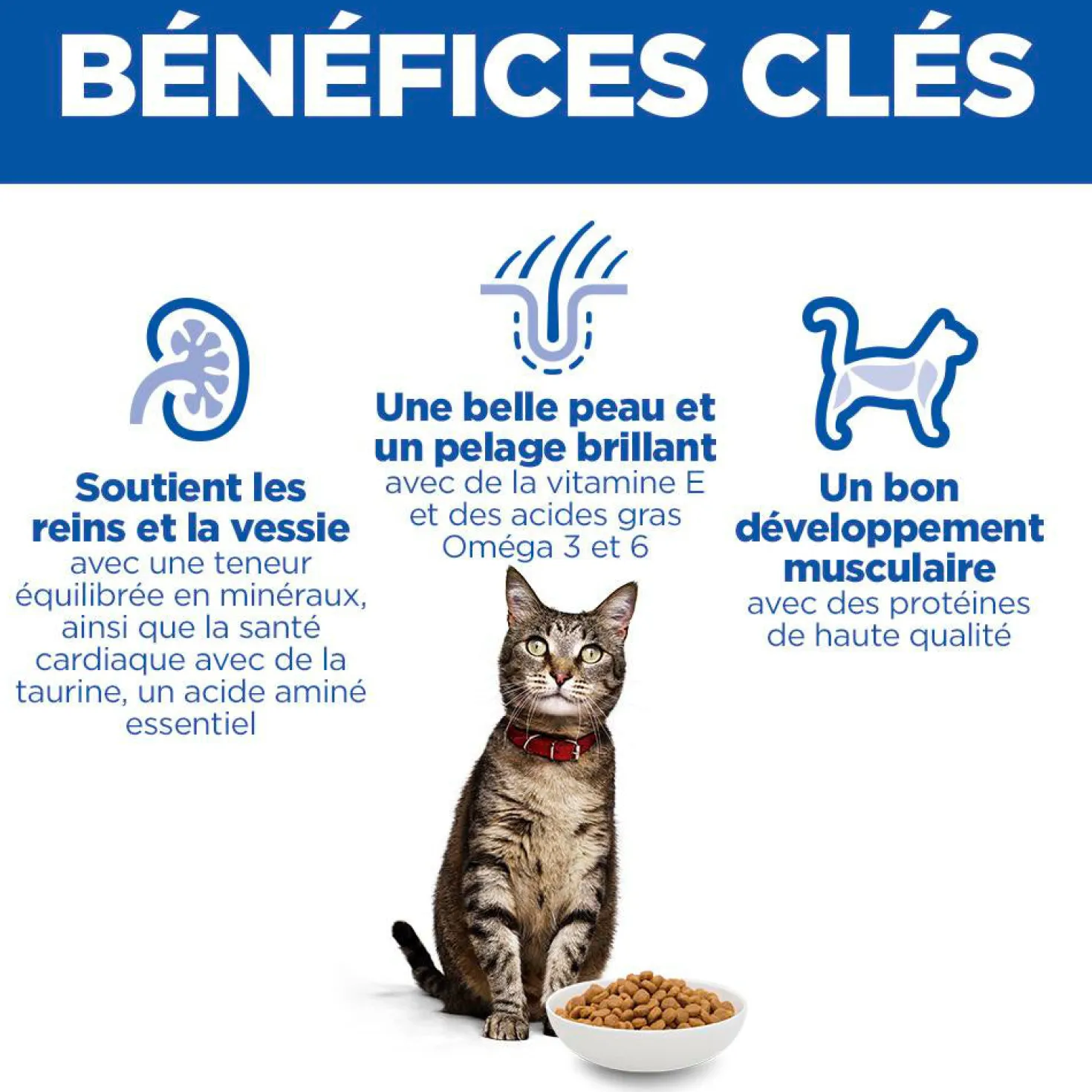 Hill's Science Plan Adult au poulet - croquettes chat
