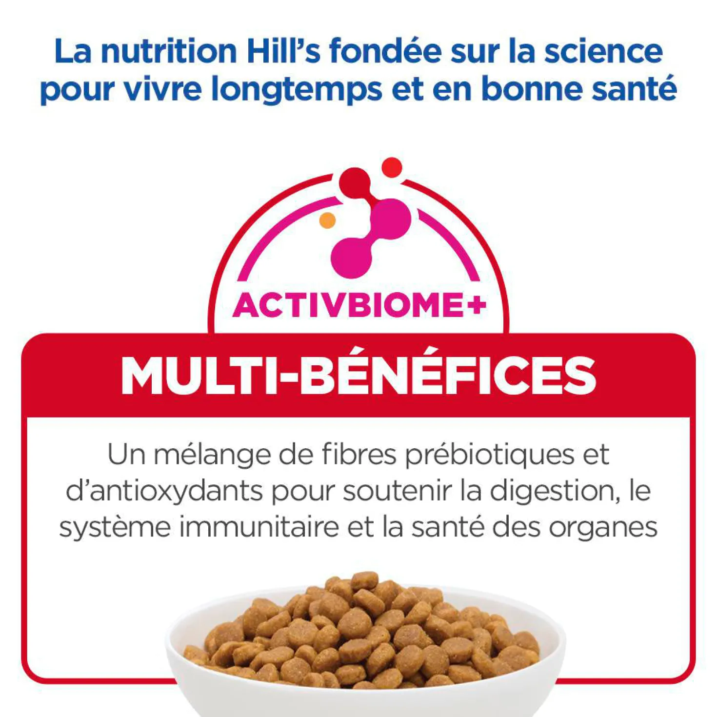 Hill's Science Plan Adult au poulet - croquettes chat