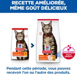 Hill's Science Plan Adult au poulet - croquettes chat