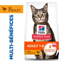 Hill's Science Plan Adult au poulet - croquettes chat