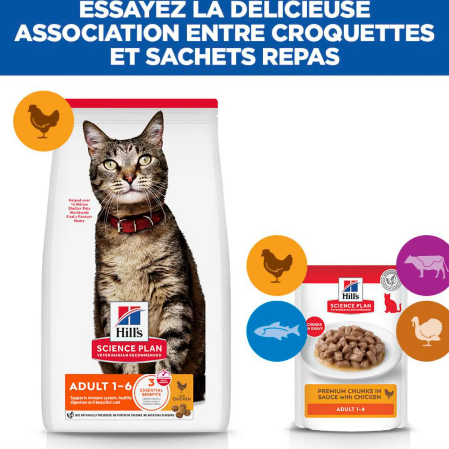 Hill's Science Plan Adult au poulet - croquettes chat