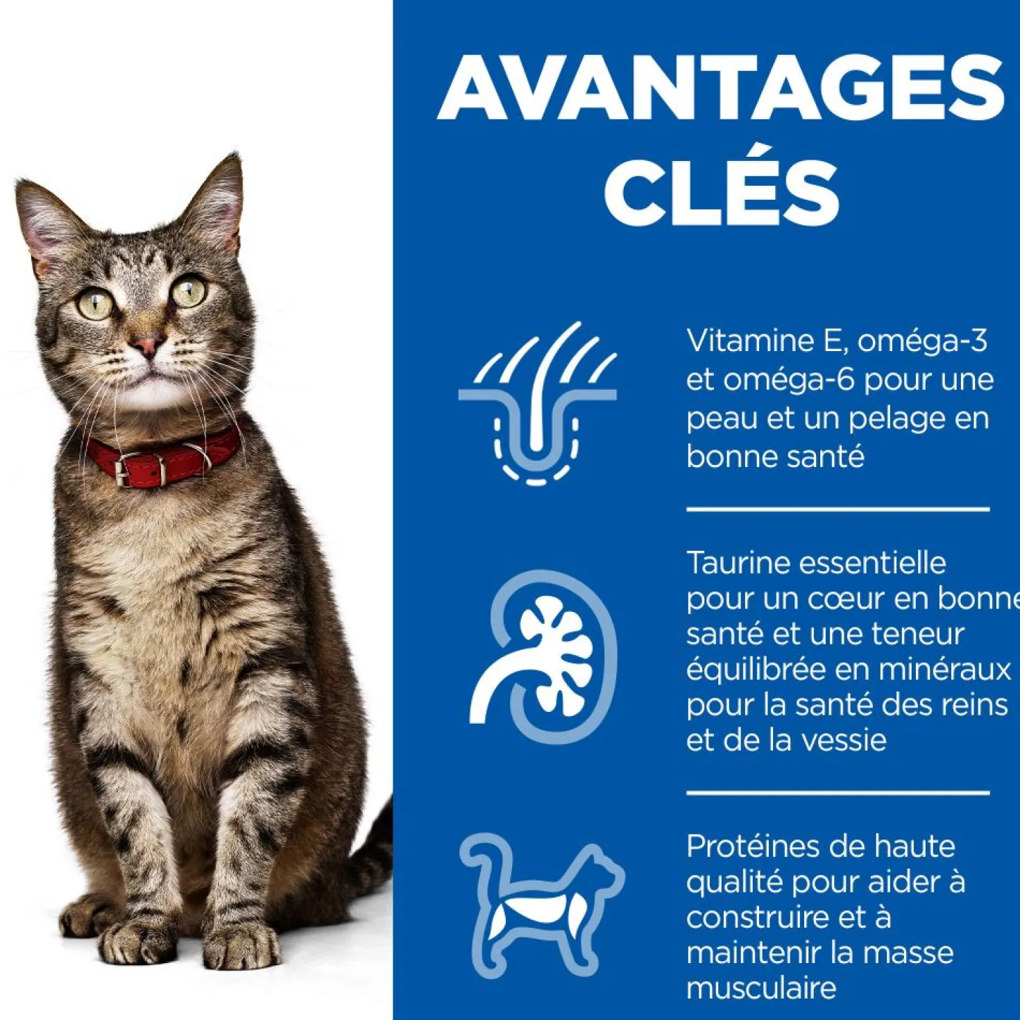Hill's Science Plan Adult en sachets au poulet & au boeuf - pâtée chat