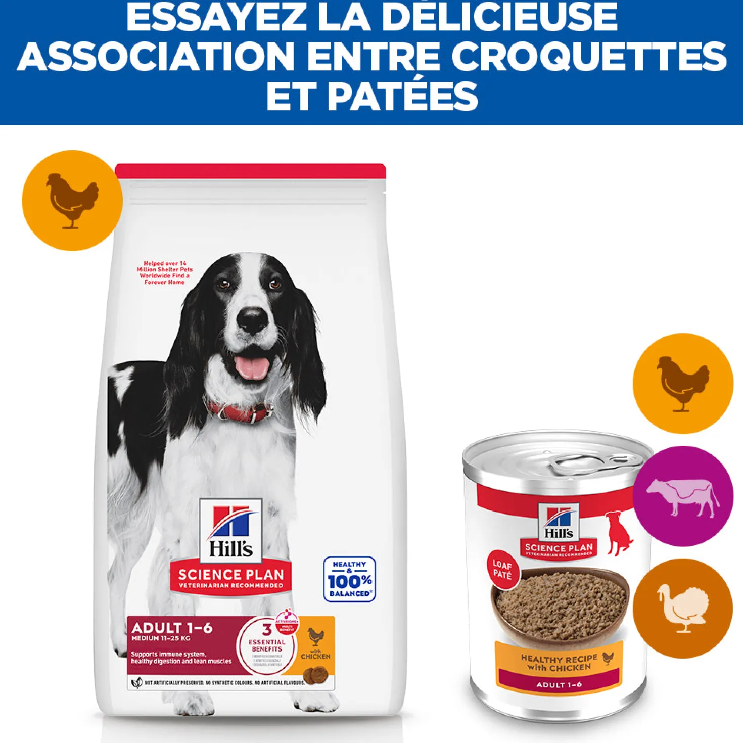 HILL'S Science Plan All Breed Adult en Boîtes au Poulet ou au Boeuf - Pâtée pour chien