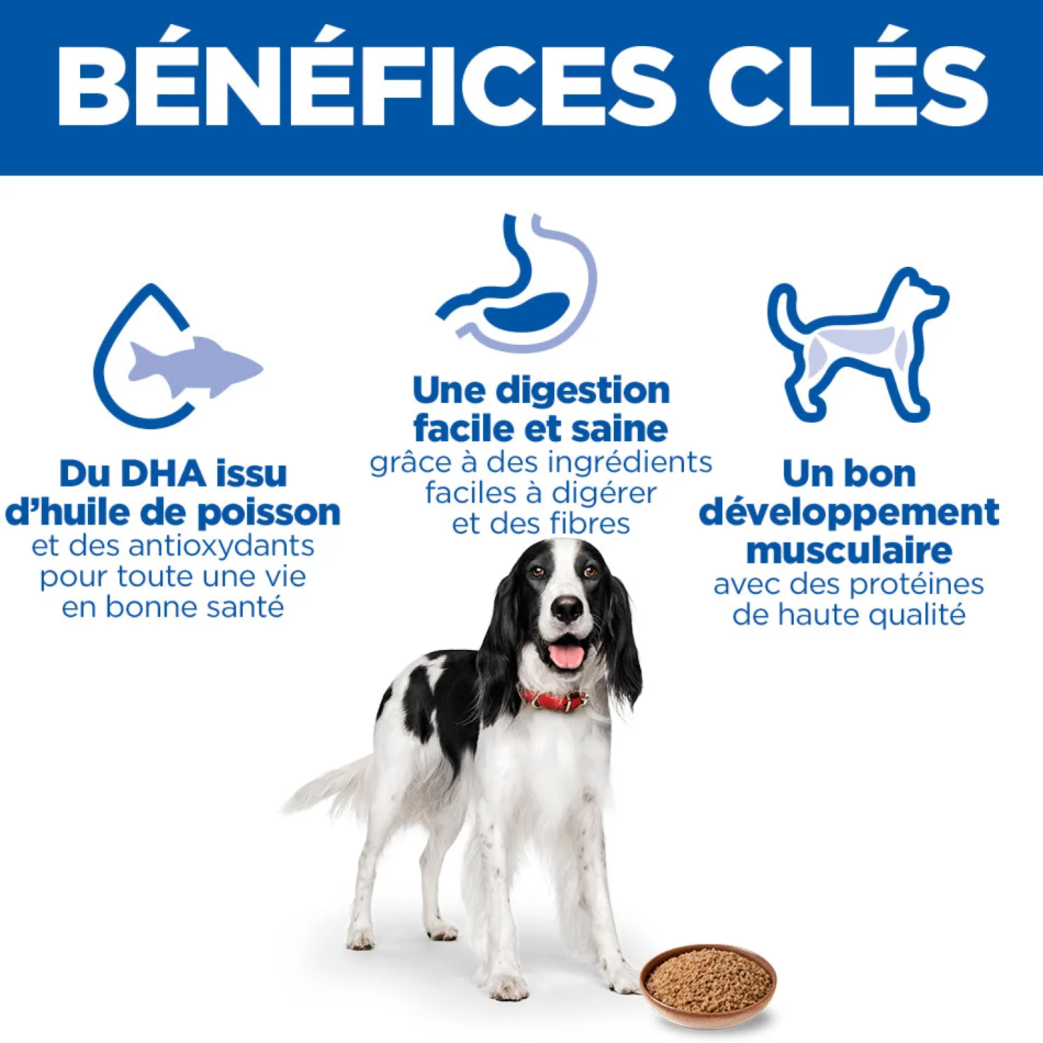 HILL'S Science Plan All Breed Adult en Boîtes au Poulet ou au Boeuf - Pâtée pour chien