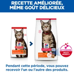 Hill's Science Plan - Croquettes pour Chat Adulte à l'Agneau 10kg