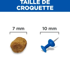 Hill's Science Plan - Croquettes pour Chat Adulte à l'Agneau 10kg