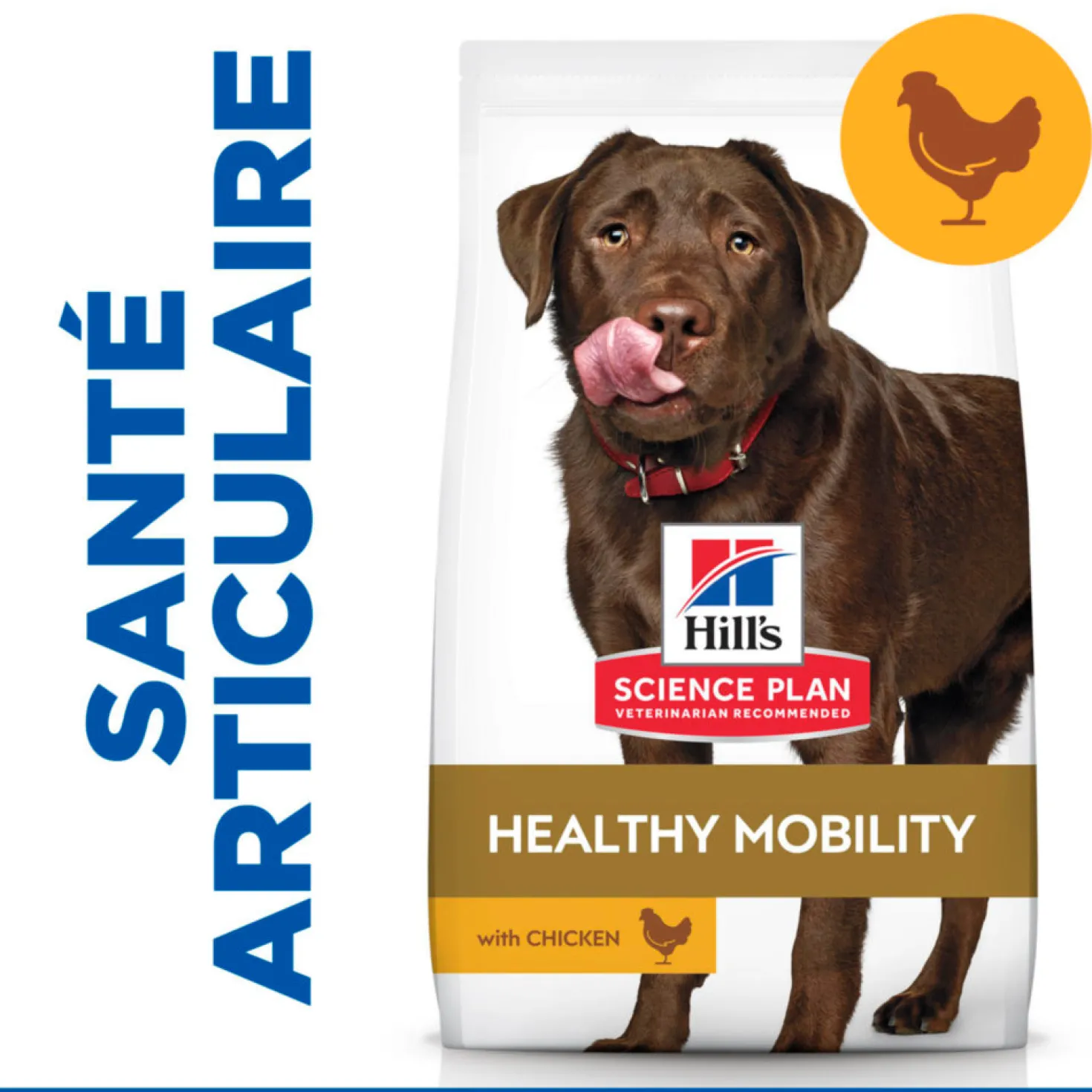 Hill's Science Plan Healthy Mobility Large Adult au poulet - croquettes chien