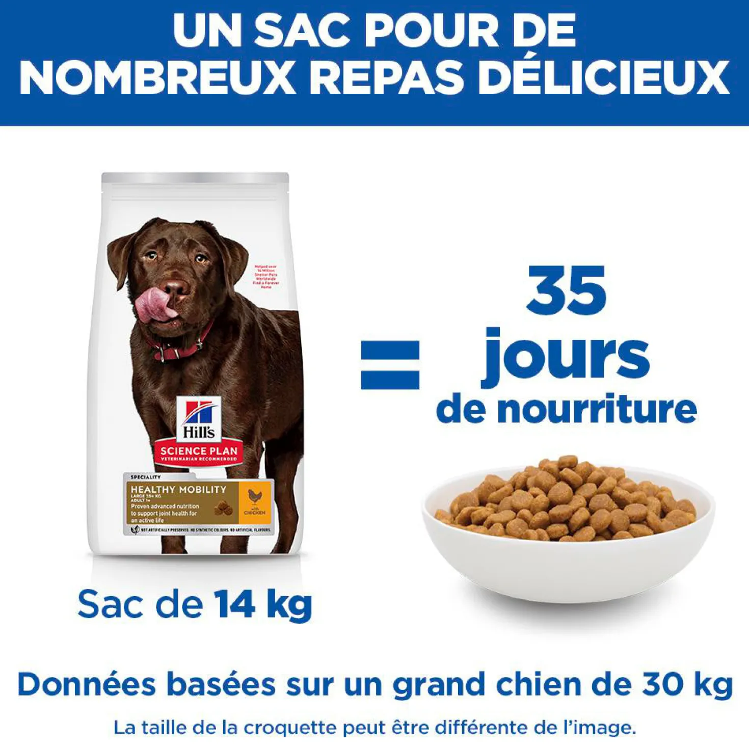 Hill's Science Plan Healthy Mobility Large Adult au poulet - croquettes chien