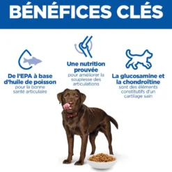 Hill's Science Plan Healthy Mobility Large Adult au poulet - croquettes chien