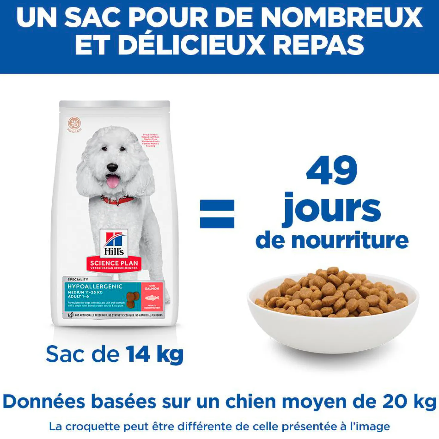 Hill's Science Plan Hypoallergenic Medium Adult au saumon – croquettes chien