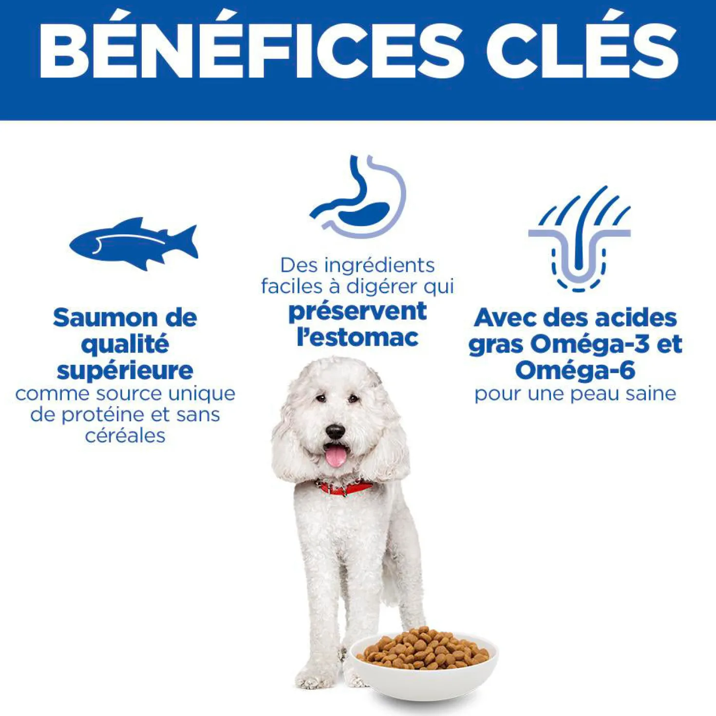 Hill's Science Plan Hypoallergenic Medium Adult au saumon – croquettes chien