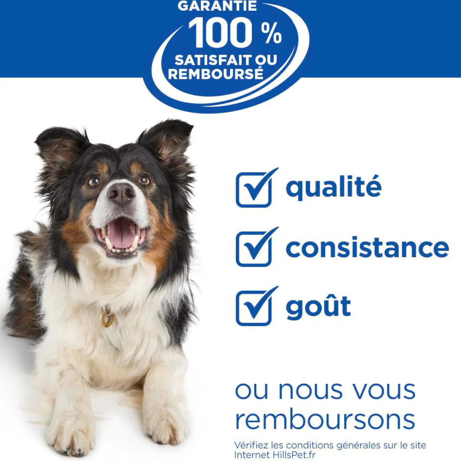 Hill's Science Plan Hypoallergenic Medium Adult au saumon – croquettes chien