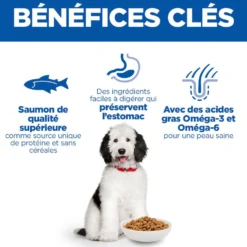 Hill's Science Plan Hypoallergenic Large Adult au saumon – croquettes chien