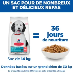 Hill's Science Plan Hypoallergenic Large Adult au saumon – croquettes chien