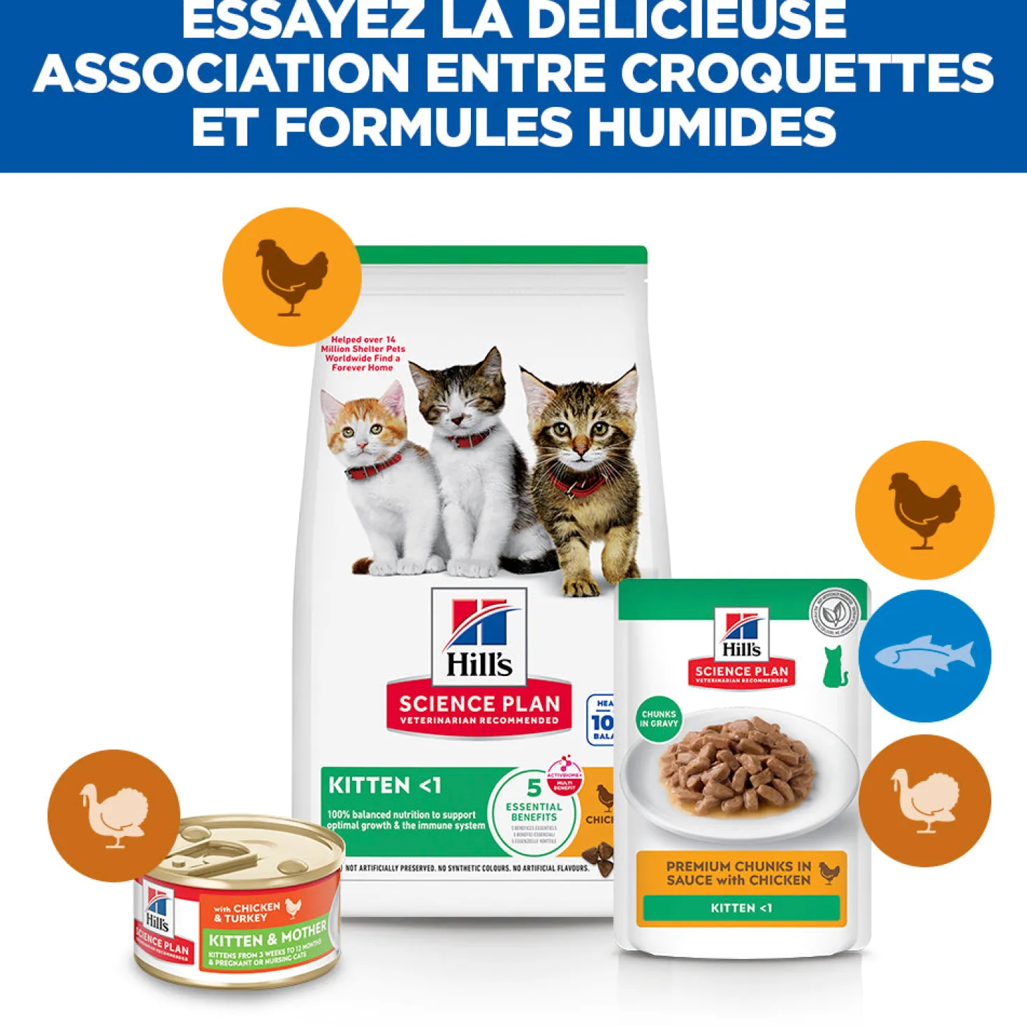 Hill's Science Plan Kitten au poulet - croquettes chaton