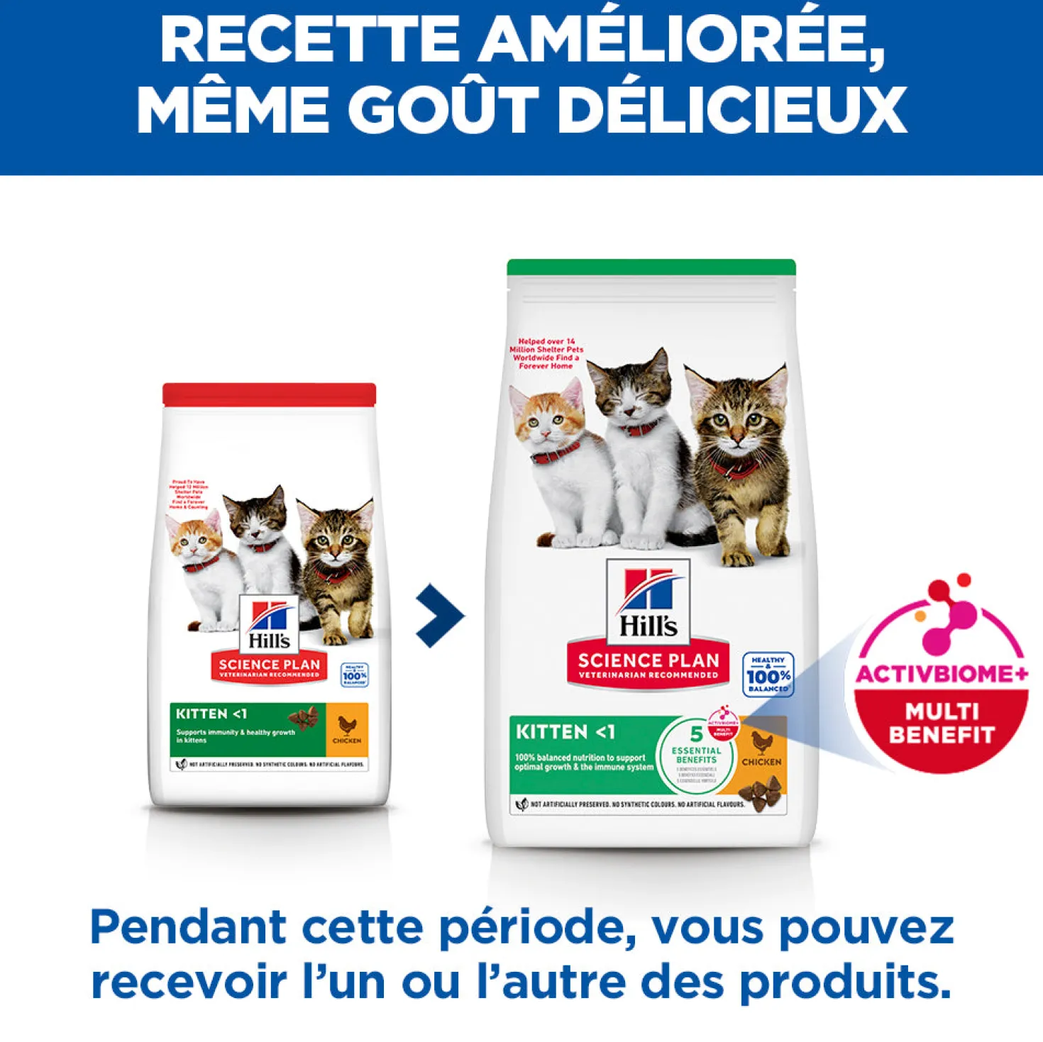 Hill's Science Plan Kitten au poulet - croquettes chaton