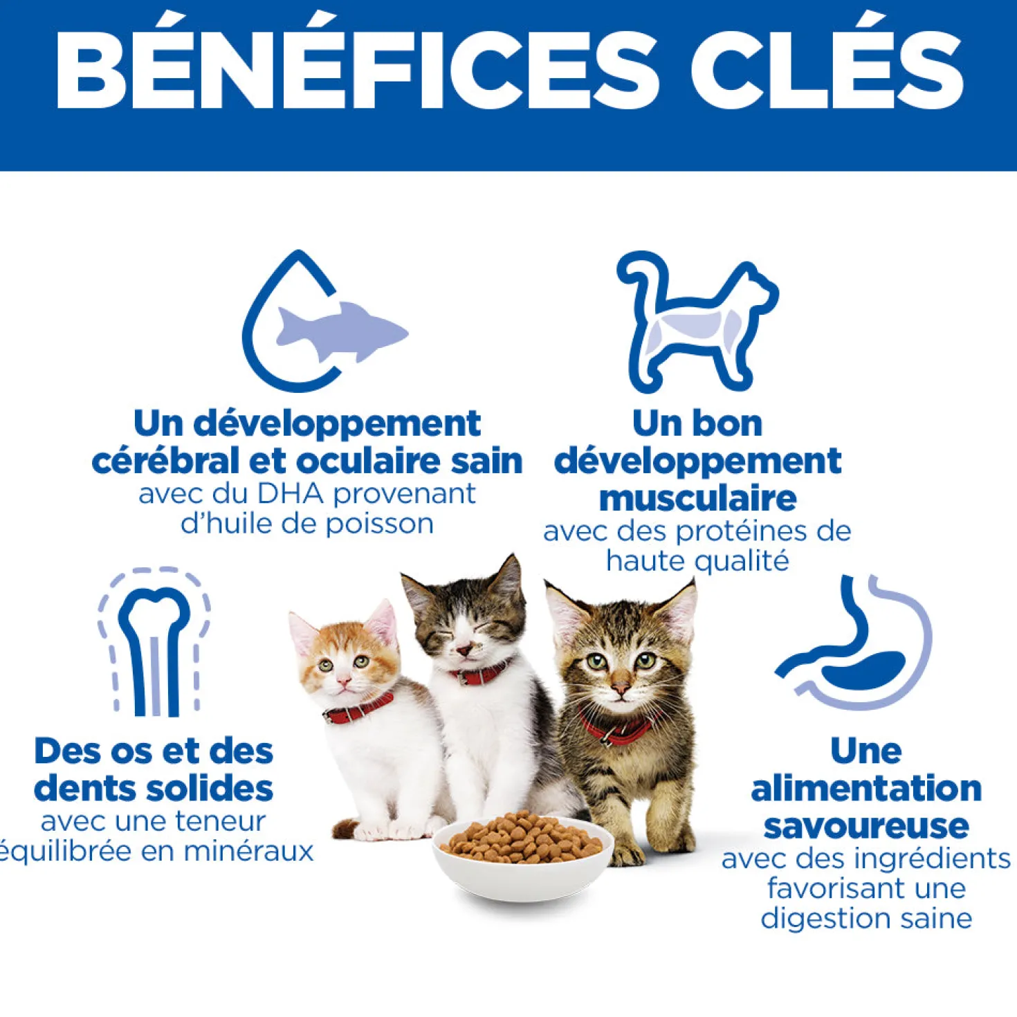 Hill's Science Plan Kitten au poulet - croquettes chaton