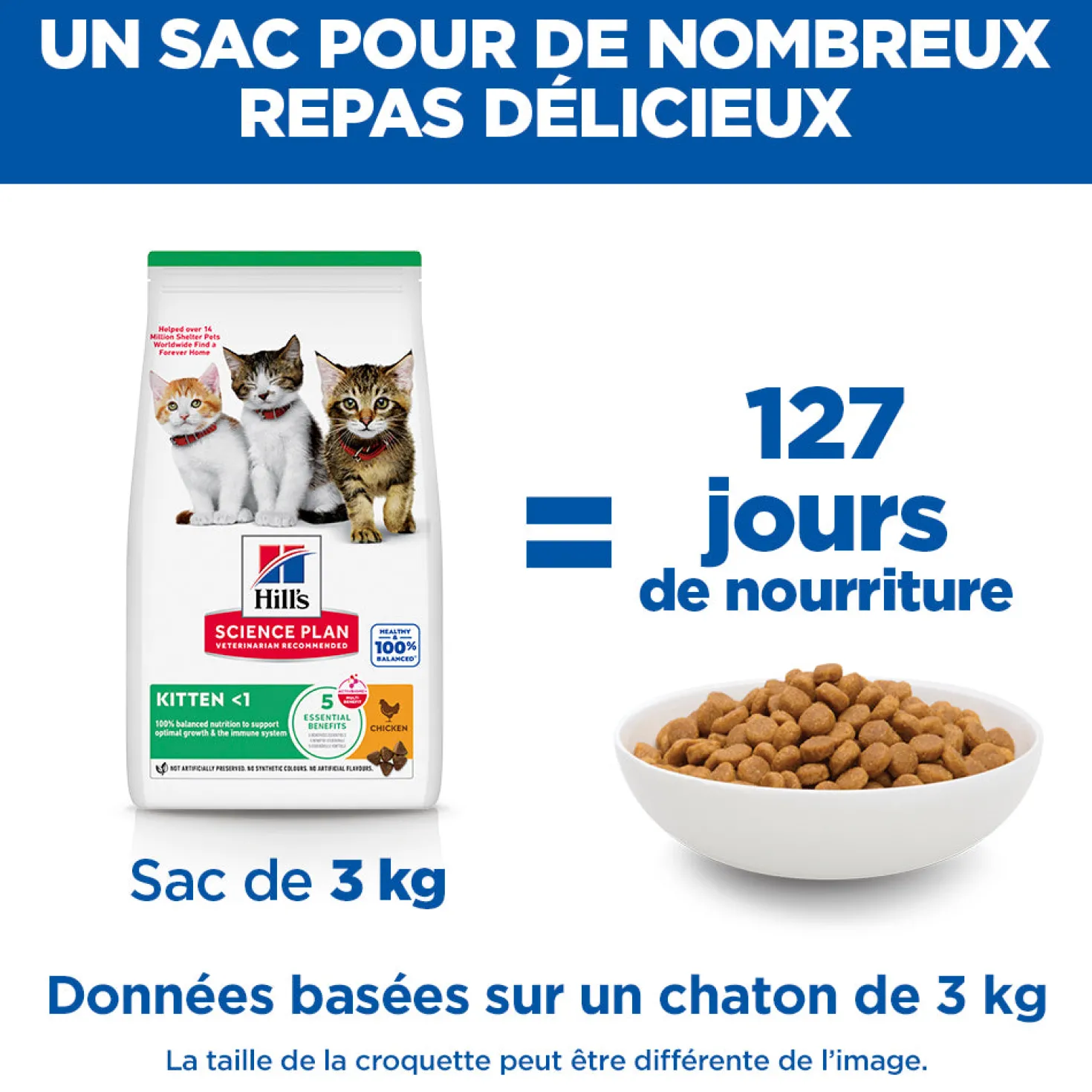 Hill's Science Plan Kitten au poulet - croquettes chaton