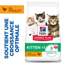 Hill's Science Plan Kitten au poulet - croquettes chaton
