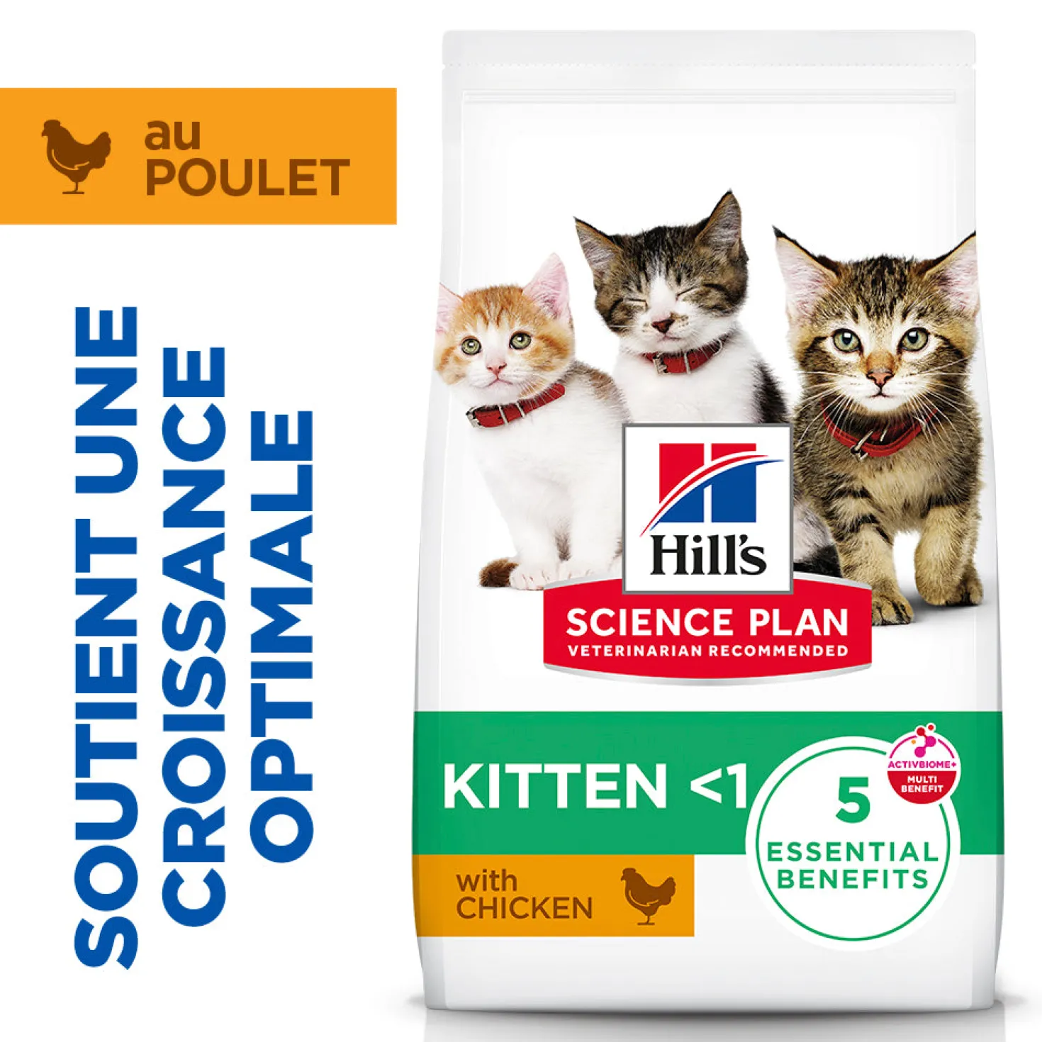 Hill's Science Plan Kitten au poulet - croquettes chaton
