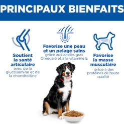 Hill's Science Plan Large Adult au poulet - croquettes chien