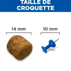 Hill's Science Plan Large Adult au poulet - croquettes chien