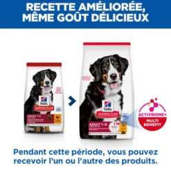 Hill's Science Plan Large Adult au poulet - croquettes chien