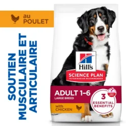 Hill's Science Plan Large Adult au poulet - croquettes chien