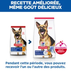 Hill's Science Plan Large Mature Adult 6+ au poulet - croquettes chien