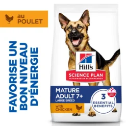 Hill's Science Plan Large Mature Adult 6+ au poulet - croquettes chien