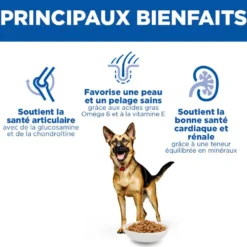Hill's Science Plan Large Mature Adult 6+ au poulet - croquettes chien