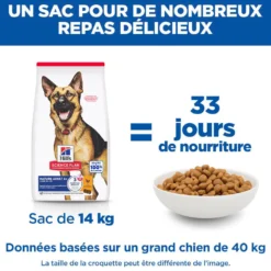 Hill's Science Plan Large Mature Adult 6+ au poulet - croquettes chien