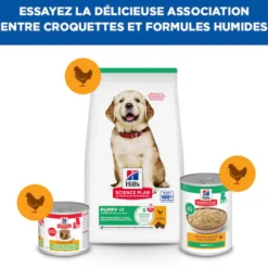 Hill's Science Plan Large Puppy au poulet - croquettes chiot