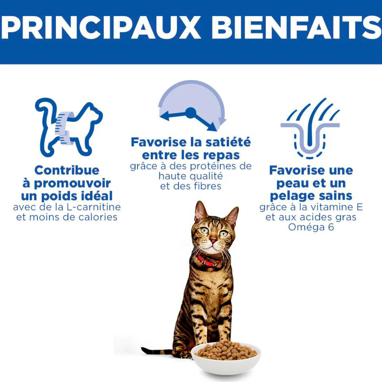 Hill's Science Plan Light Adult au poulet - croquettes chat