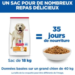 Hill's Science Plan Light Large Adult au poulet - croquettes chien