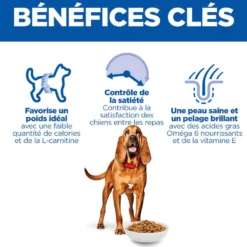 Hill's Science Plan Light Medium Mature Adult 7+ au poulet - croquettes chien