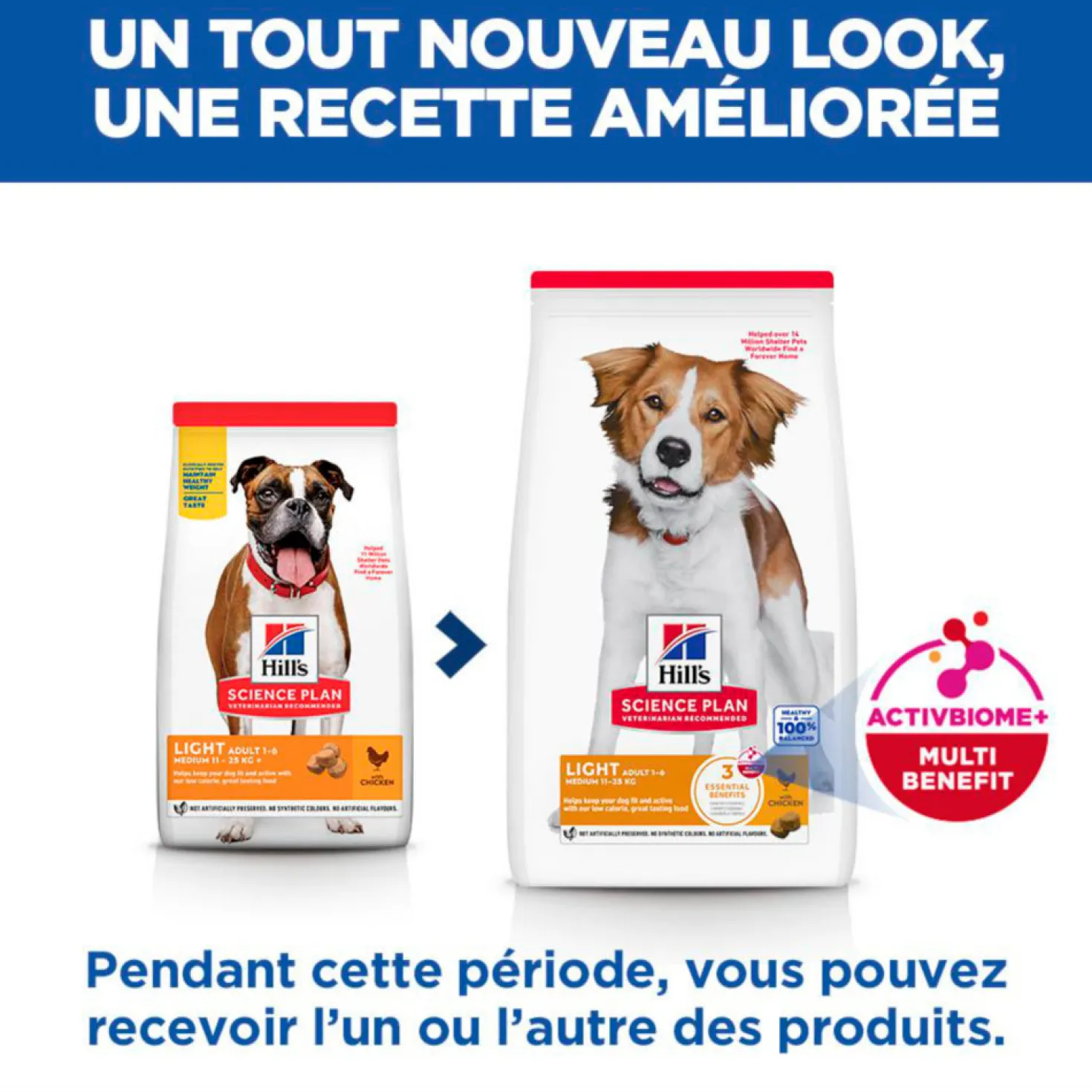 Hill's Science Plan Light Medium Adult au poulet - croquettes chien