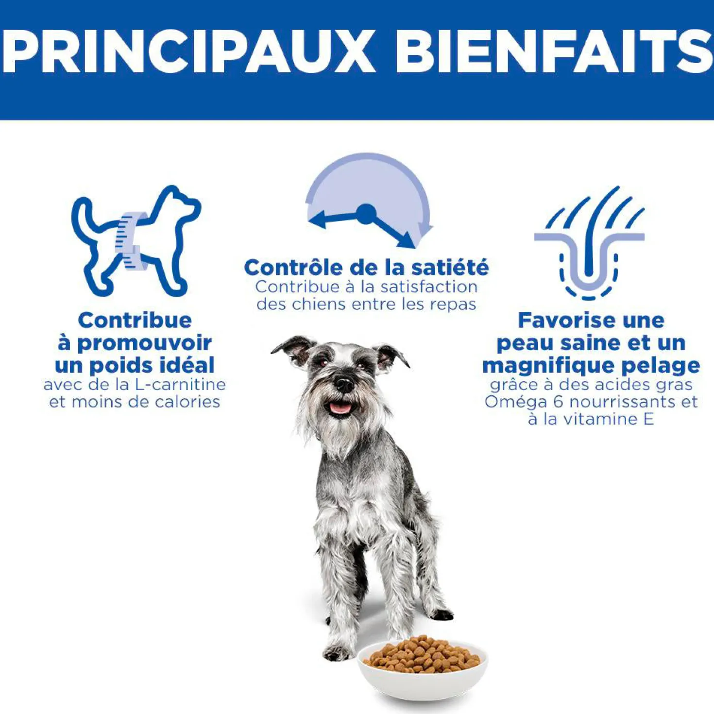 Hill's Science Plan Light Small & Mini Mature Adult 7+ au poulet - croquettes chien