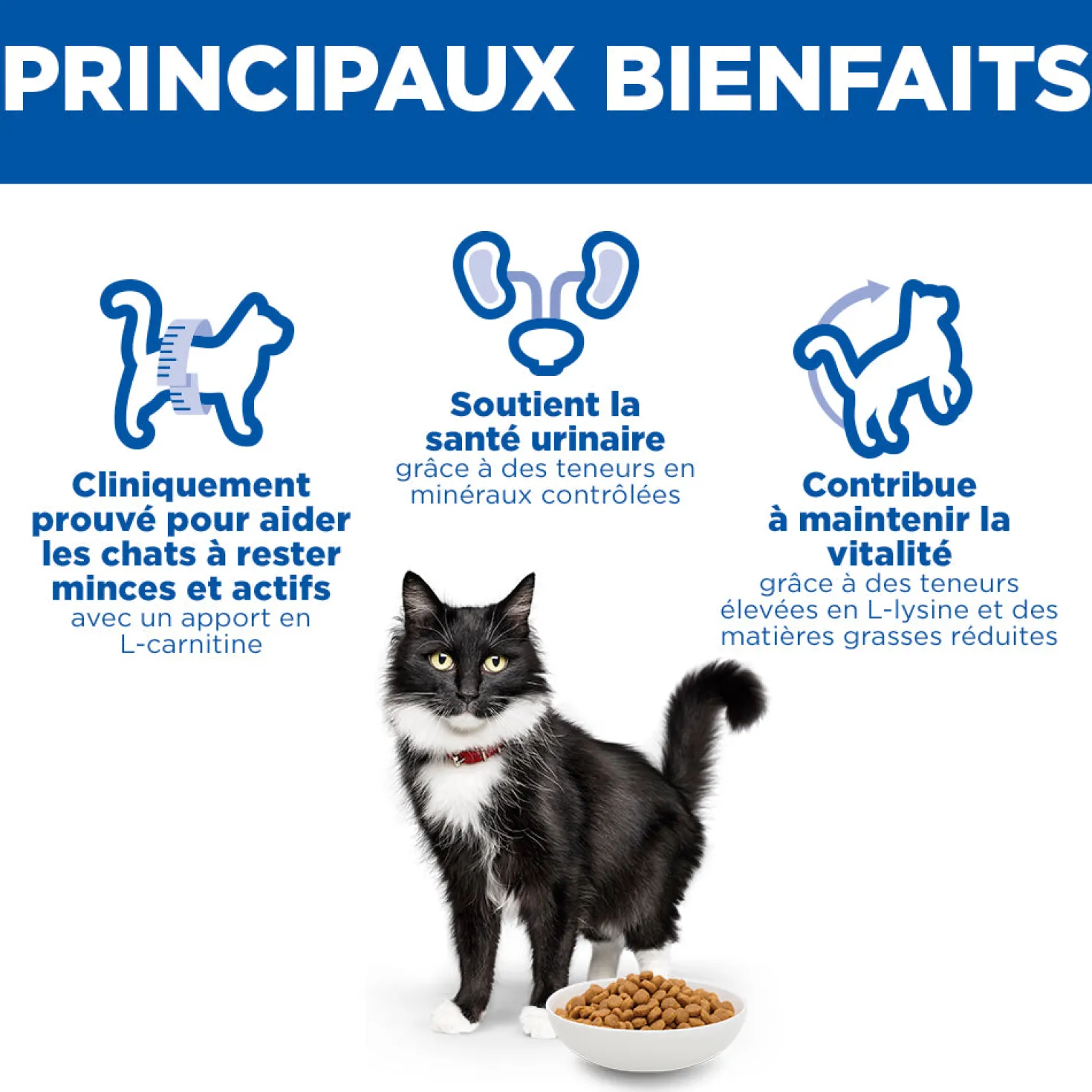 Hill's Science Plan Mature Adult 7+ Sterilised au poulet - croquettes chat