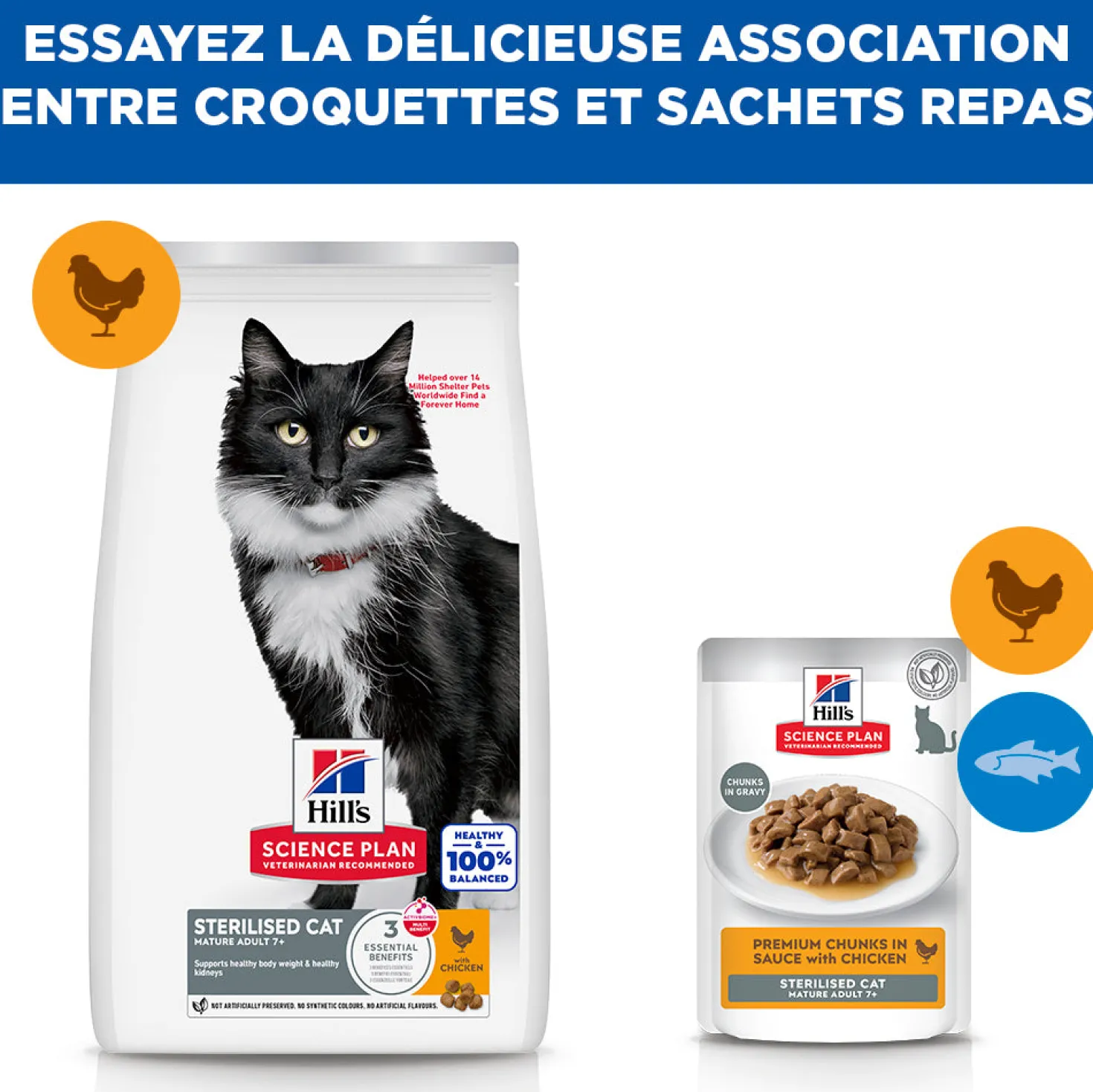 Hill's Science Plan Mature Adult 7+ Sterilised au poulet - croquettes chat