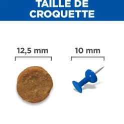 Hill's Science Plan Medium Adulte au poulet - croquettes chien