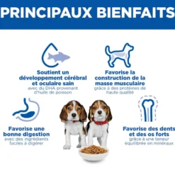 HILL'S Science Plan Medium Puppy à l'Agneau - Croquettes pour chiot
