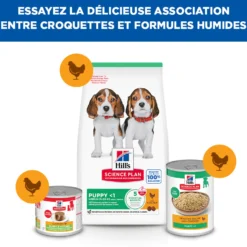 Hill's Science Plan Medium Puppy au poulet - croquettes chiot