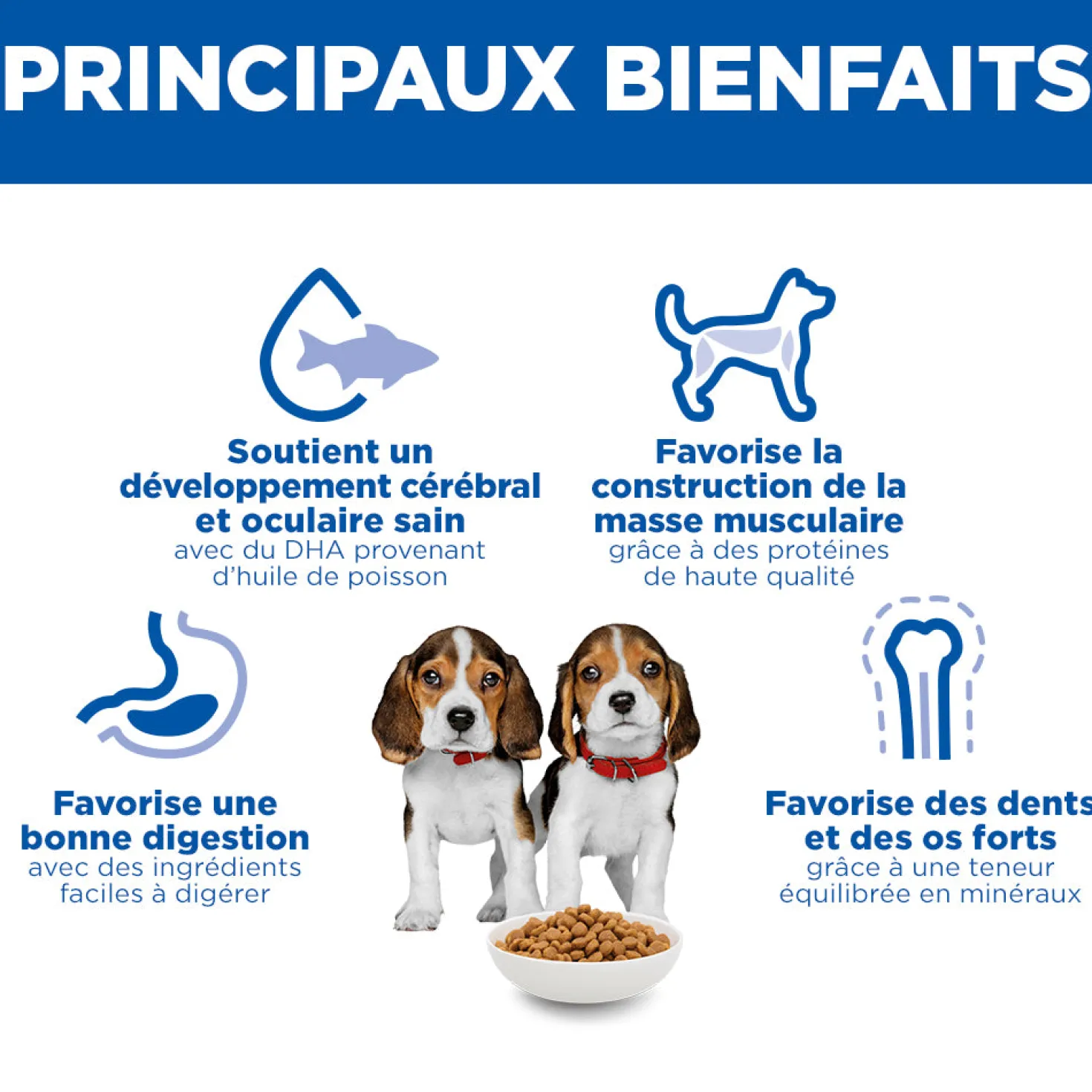 Hill's Science Plan Medium Puppy au poulet - croquettes chiot