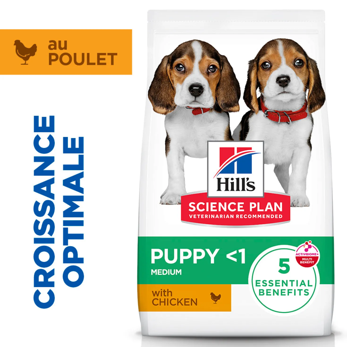 Hill's Science Plan Medium Puppy au poulet - croquettes chiot