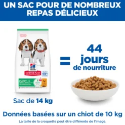 Hill's Science Plan Medium Puppy au poulet - croquettes chiot