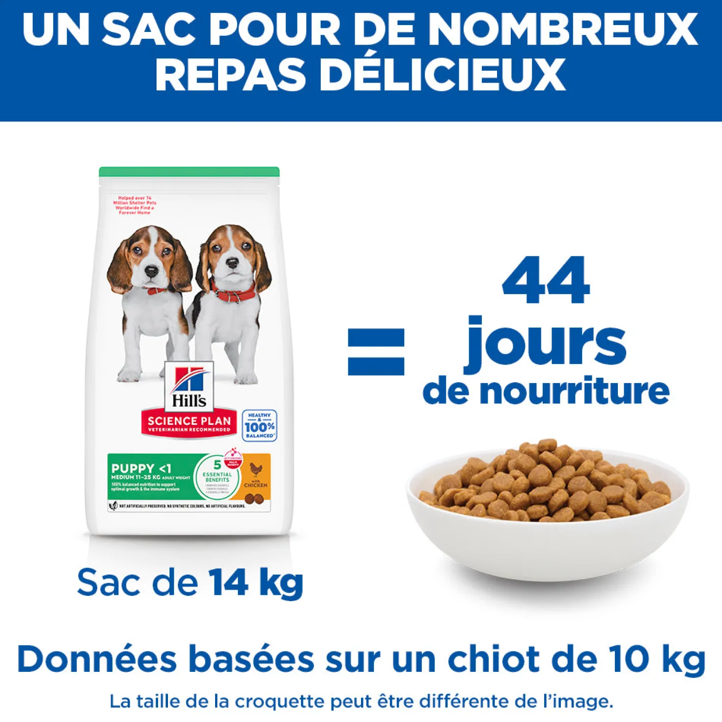 Hill's Science Plan Medium Puppy au poulet - croquettes chiot