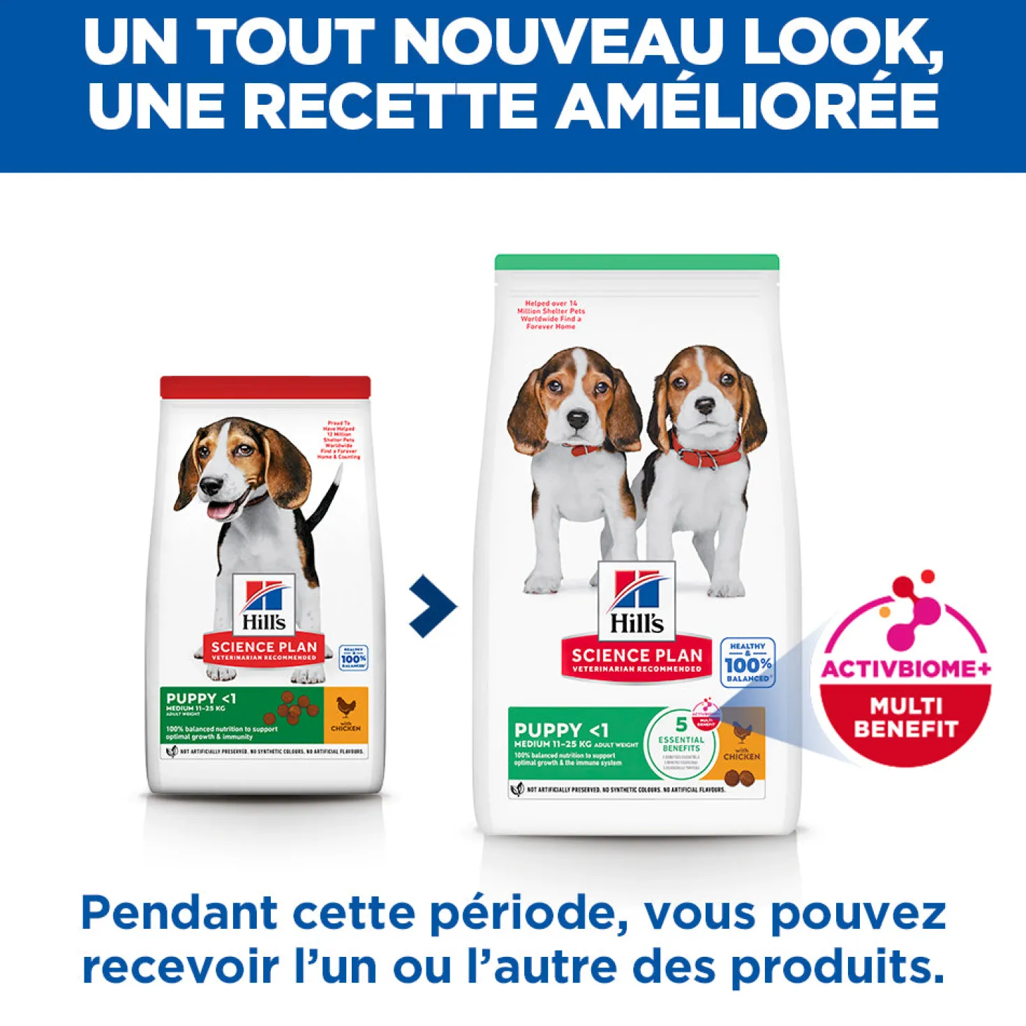Hill's Science Plan Medium Puppy au poulet - croquettes chiot