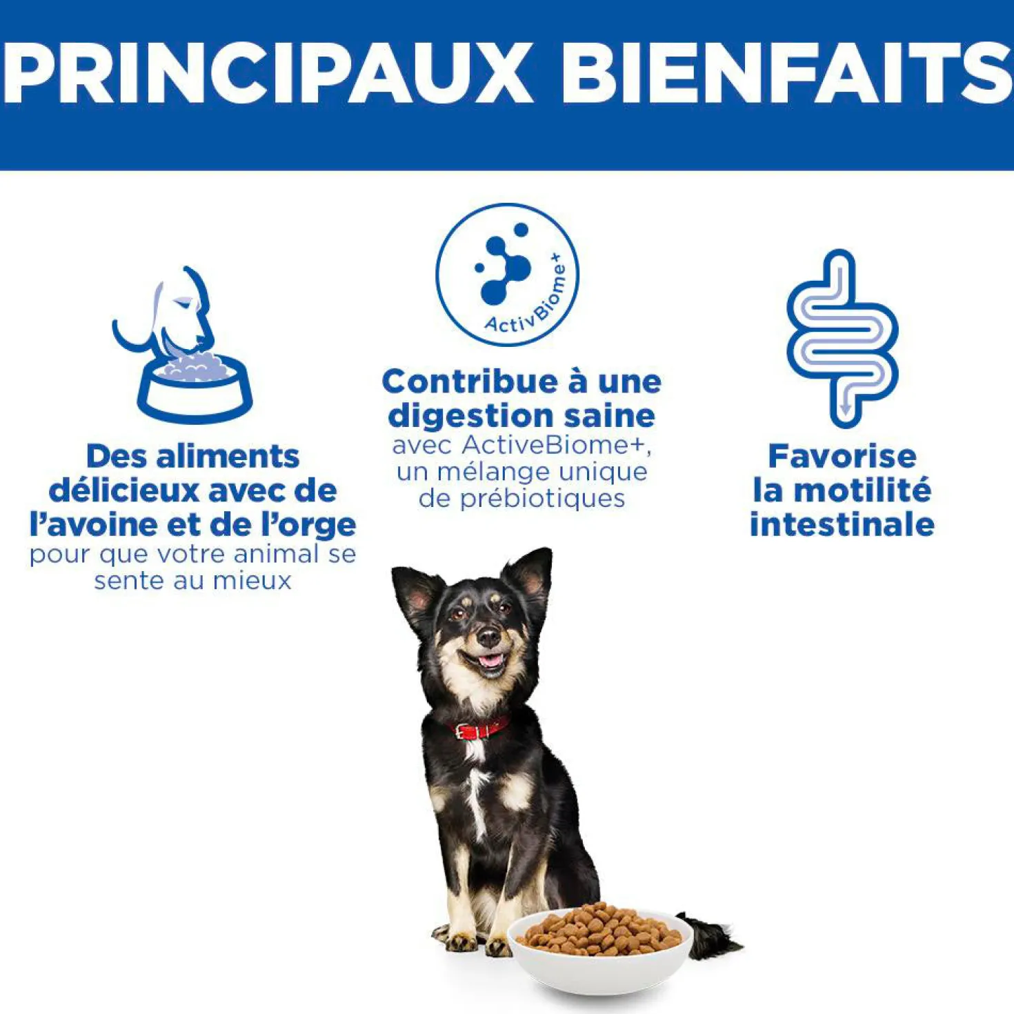 HILL'S Science Plan Perfect Digestion Small & Mini Adult au Poulet - Croquettes pour chien